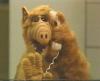 Album photo > Alf > Alf