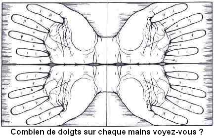 Retour  la catgorie row[rubrique]