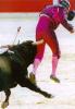 Sport : Corne dans le ... - 6316 hits