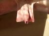 Humour sexy : testicules carr - 88447 hits