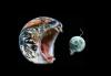 Photos dlires : Chat et souris, terre et lune - 14762 hits