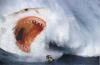 Humour noir : Shark attack - 11491 hits