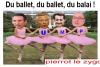 Actualit : belle brochette - 7538 hits