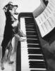 Animaux : Chien pianiste - 8303 hits