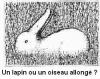 Illusions d'optique : Lapin ou oiseau ? - 11801 hits