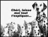Animaux : Dalmatiens - 15465 hits