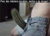 Humour sexy : Du piquant - 24110 hits
