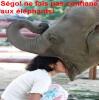 Actualit : des lphants qui se trompent - 12281 hits