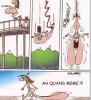 Humour noir : Saut  l'lastique - 17146 hits