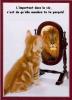 Animaux : Estime de soi - 14648 hits