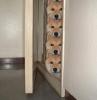 Animaux : On peut sortir ? - 7627 hits