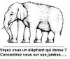 Illusions d'optique : Elephant qui danse - 11344 hits