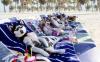 Animaux : Repos du guerrier - 12195 hits