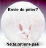 Voir l'image Lapin ptoman