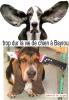 Animaux : Le chien de Bayrou - 8100 hits