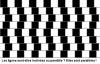 Illusions d'optique : Les lignes droites - 9844 hits