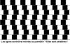 Illusions d'optique : Les lignes droites - 9983 hits