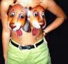 Humour sexy : Petits chiens - 53024 hits