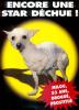Humour noir : Milou sans Tintin - 15551 hits