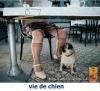 Animaux : Une vie de chien - 26205 hits