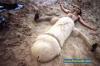 Humour sexy : Grosse bite de sable - 67786 hits