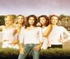 Jouer au quiz : Desperate Housewives