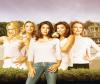 Jouer au quiz : Desperate Housewives (Saison2)