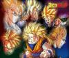 Jouer au quiz : Dragon Ball Z