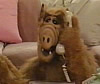 Jouer au quiz : Alf