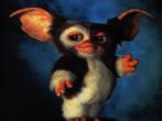 Voir le fond d'cran 4d95rr9-gremlins-gizmo.jpg