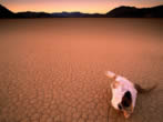 Voir le fond d'cran deserts_wallxtrem.com_30.jpg